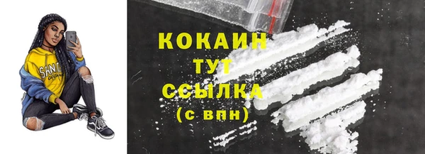 мдпв Ладушкин