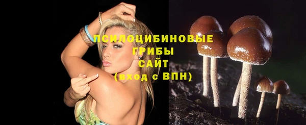 мдпв Ладушкин