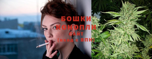 мдпв Ладушкин